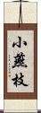 小燕枝 Scroll