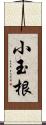 小玉根 Scroll