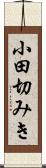 小田切みき Scroll