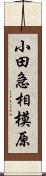 小田急相模原 Scroll