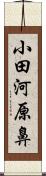 小田河原鼻 Scroll
