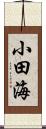 小田海 Scroll