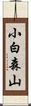 小白森山 Scroll