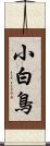 小白鳥 Scroll