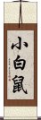 小白鼠 Scroll