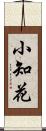 小知花 Scroll