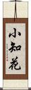 小知花 Scroll