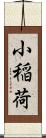 小稲荷 Scroll