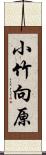 小竹向原 Scroll