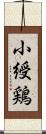 小綬鶏 Scroll