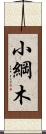 小綱木 Scroll