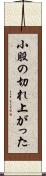 小股の切れ上がった Scroll