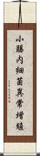 小腸内細菌異常増殖 Scroll