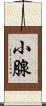 小腺 Scroll