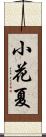 小花夏 Scroll