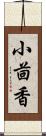 小茴香 Scroll