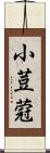 小荳蒄 Scroll