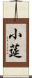 小莚 Scroll