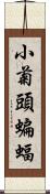 小菊頭蝙蝠 Scroll