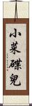 小菜碟兒 Scroll