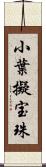 小葉擬宝珠 Scroll
