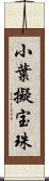 小葉擬宝珠 Scroll