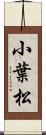 小葉松 Scroll