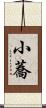 小蕎 Scroll