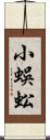 小蜈蚣 Scroll