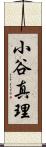 小谷真理 Scroll