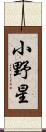 小野星 Scroll