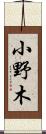 小野木 Scroll