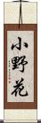 小野花 Scroll