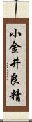 小金井良精 Scroll