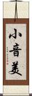 小音美 Scroll