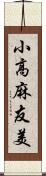小高麻友美 Scroll