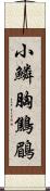 小鱗胸鷦鶥 Scroll