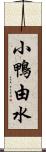 小鴨由水 Scroll