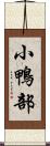 小鴨部 Scroll