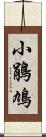 小鵑鳩 Scroll