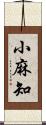 小麻知 Scroll