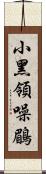 小黑領噪鶥 Scroll