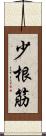 少根筋 Scroll