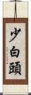 少白頭 Scroll
