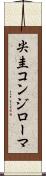 尖圭コンジローマ Scroll