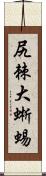 尻棘大蜥蜴 Scroll