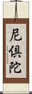 尼倶陀 Scroll