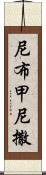 尼布甲尼撒 Scroll