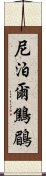 尼泊爾鷦鶥 Scroll