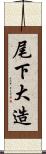 尾下大造 Scroll